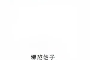 《雪落无声》番位合同示意，雪地脚印与文件夹